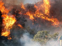洛杉磯爆發(fā)史上最大山火，宣布進(jìn)入緊急狀態(tài)